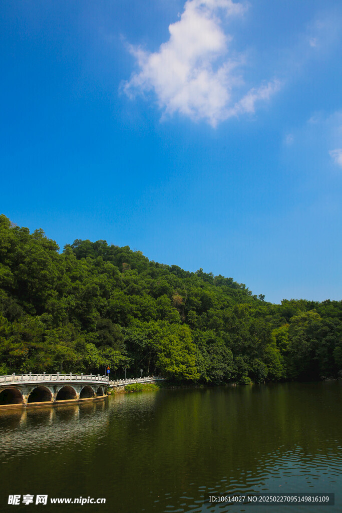 仙湖 植物园