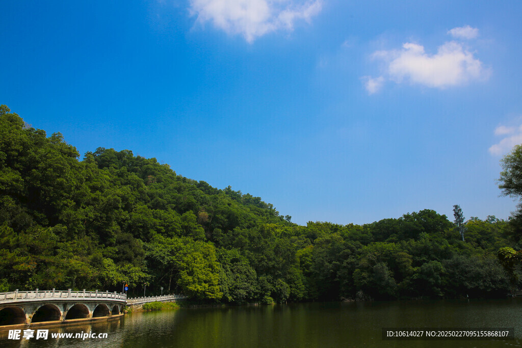 仙湖 植物园