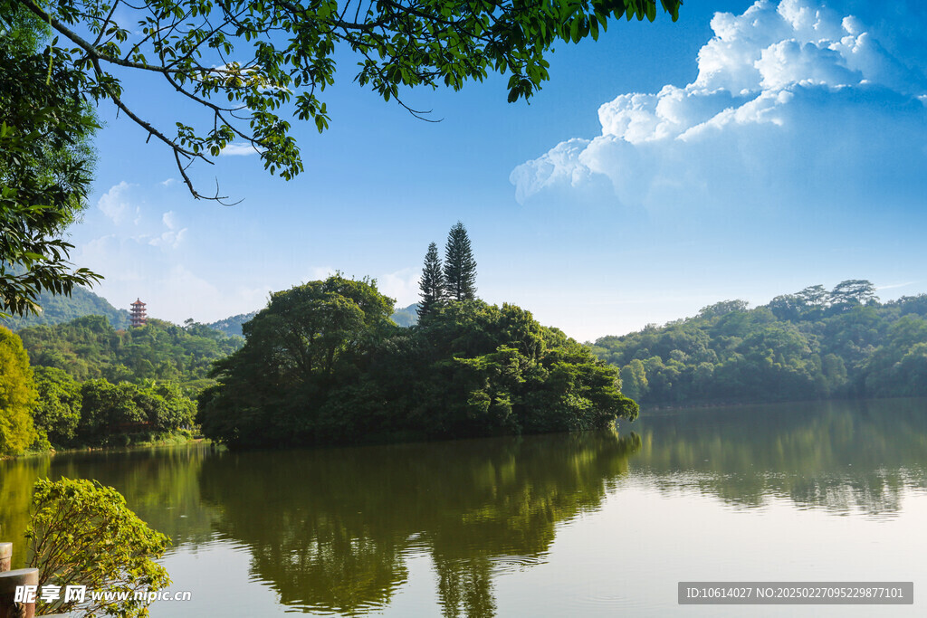 仙湖 植物园