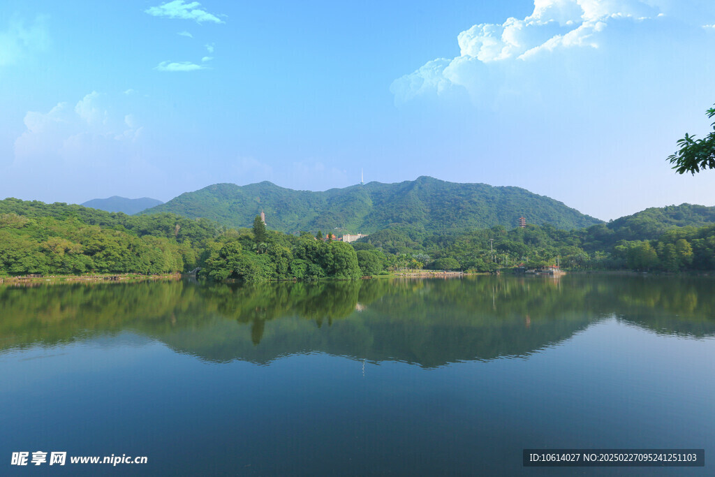 仙湖 植物园