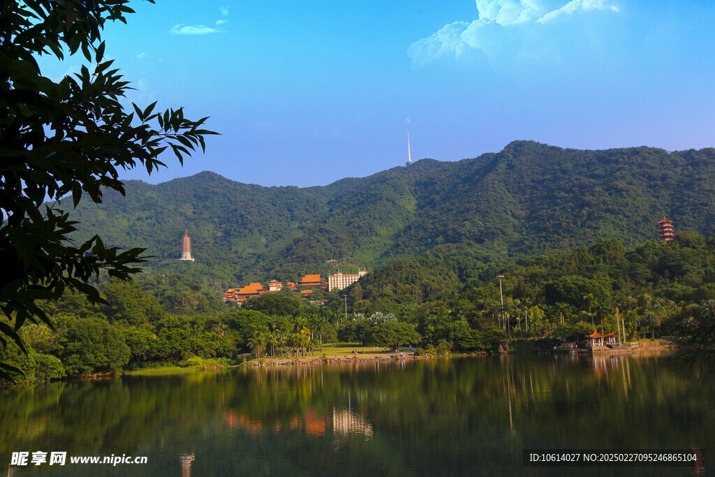 仙湖 植物园