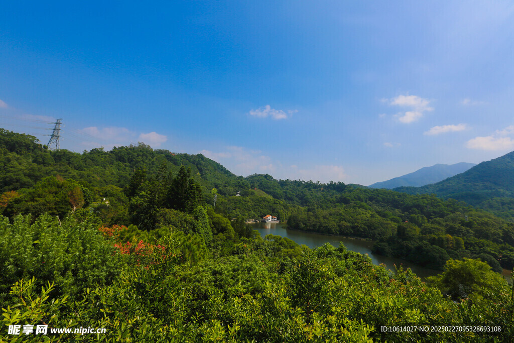 仙湖 植物园