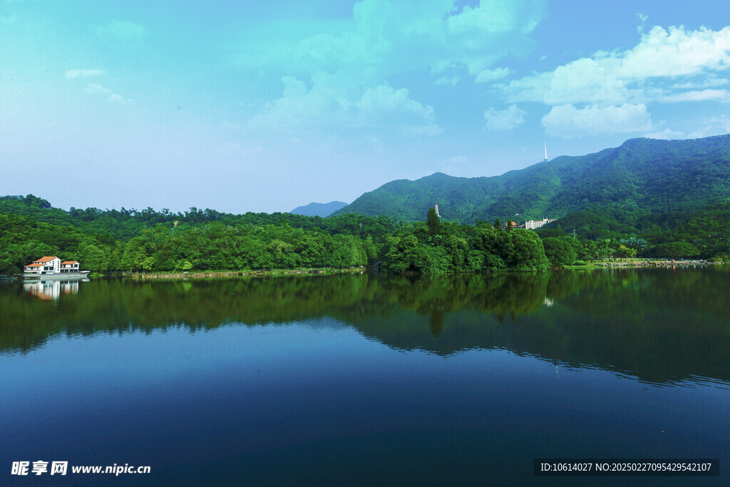 仙湖 植物园