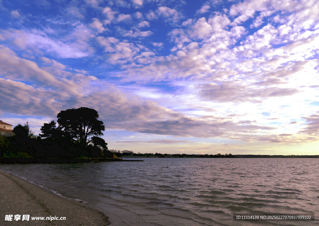 奥克兰海边风景