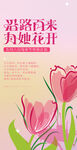 母亲节海报