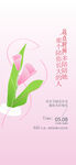 母亲节海报
