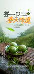 暖场活动清明节