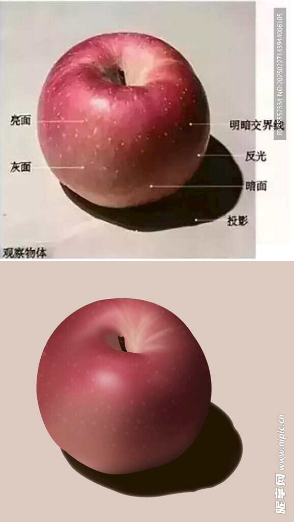 苹果