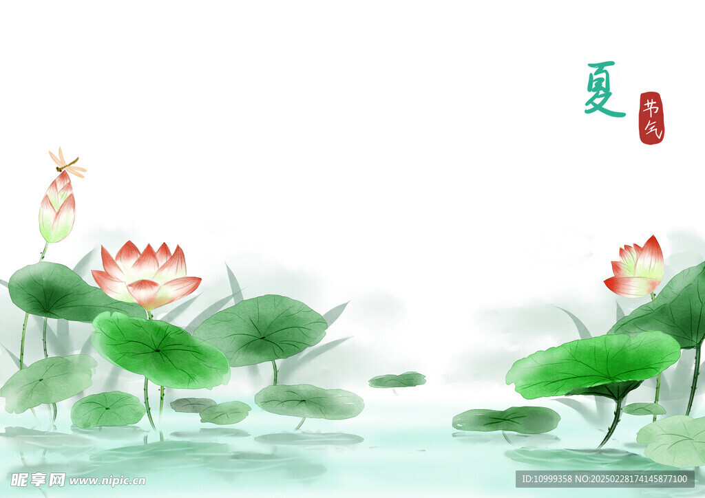 中国风荷花