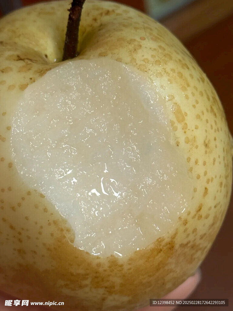 梨子
