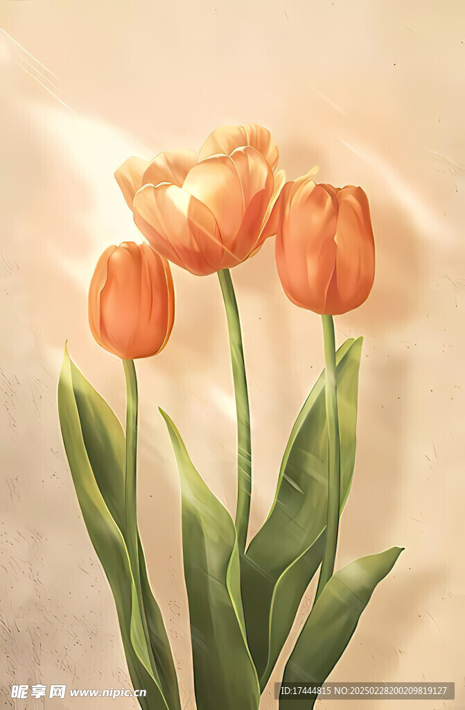 郁金香花卉装饰画