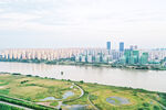 城市建筑全景