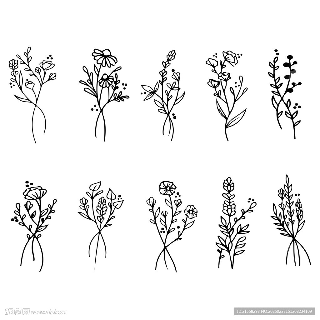 矢量花草