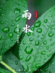 雨水海报