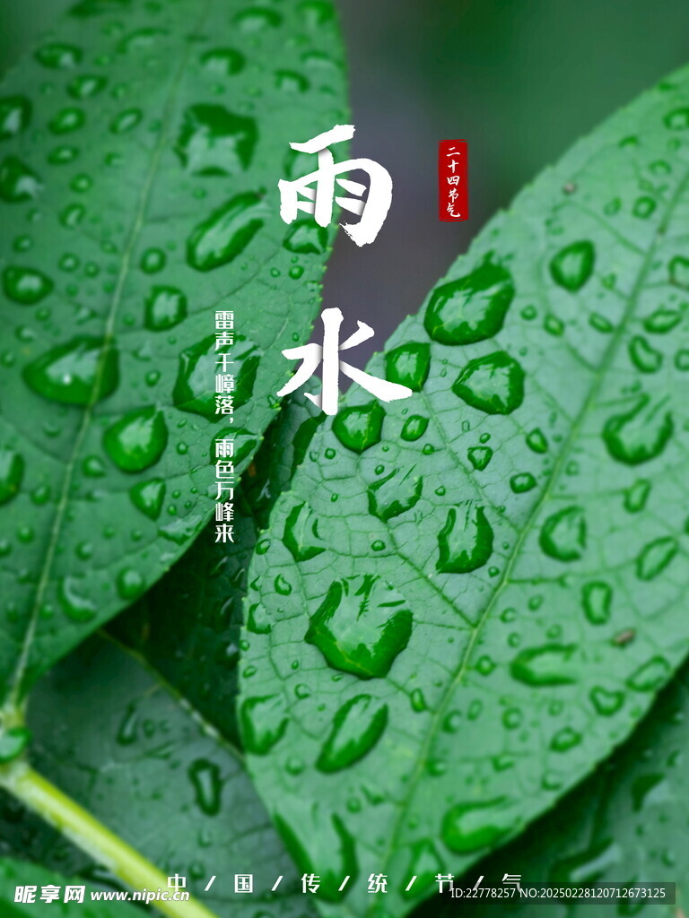 雨水海报