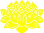 莲花