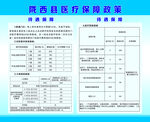 医保