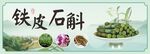 铁皮石斛