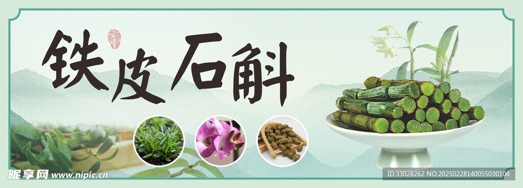 铁皮石斛