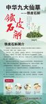 铁皮石斛展架