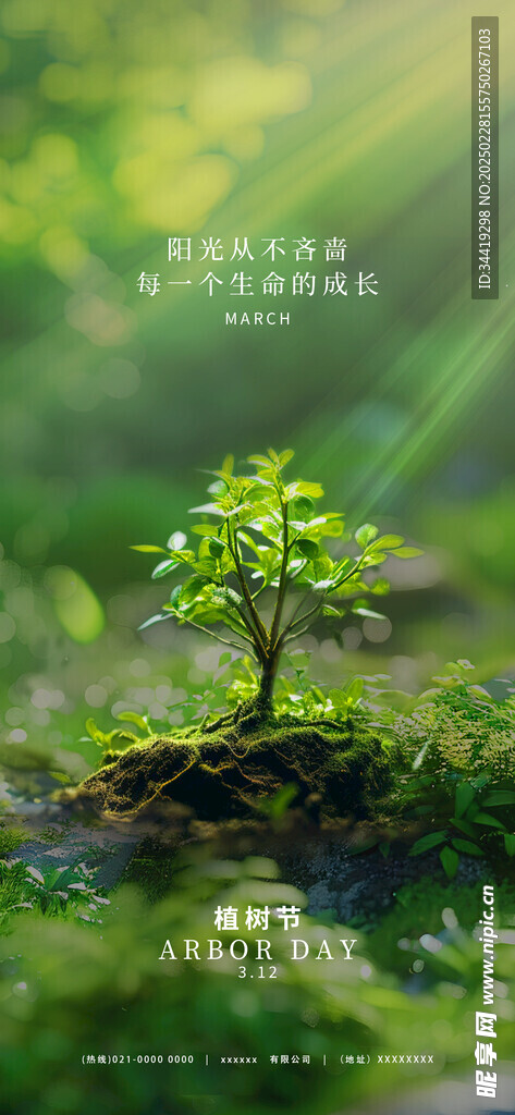 植树节