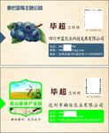名片设计