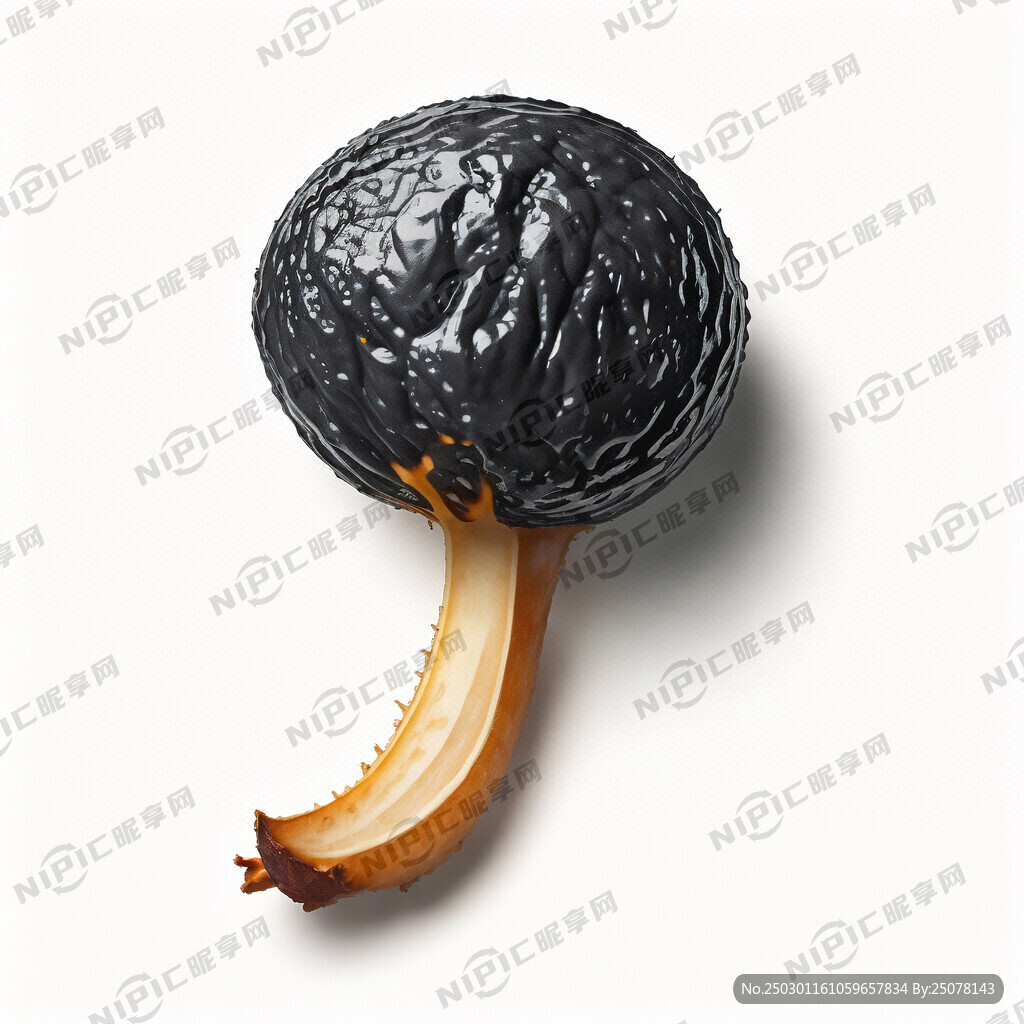 半个黑松露切开摄影图 