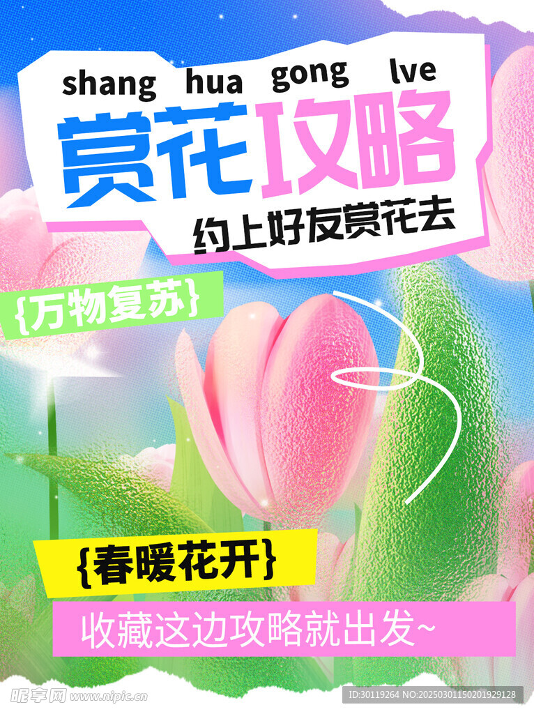 赏花踏青