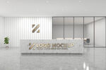 logo字样机