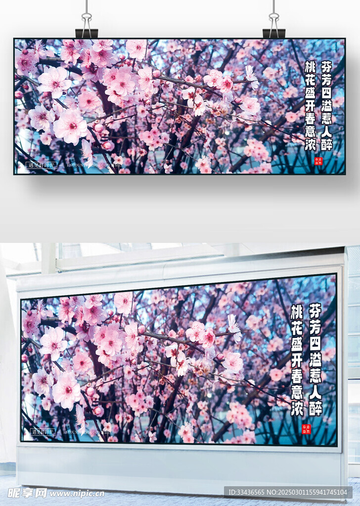 桃花盛开春意浓