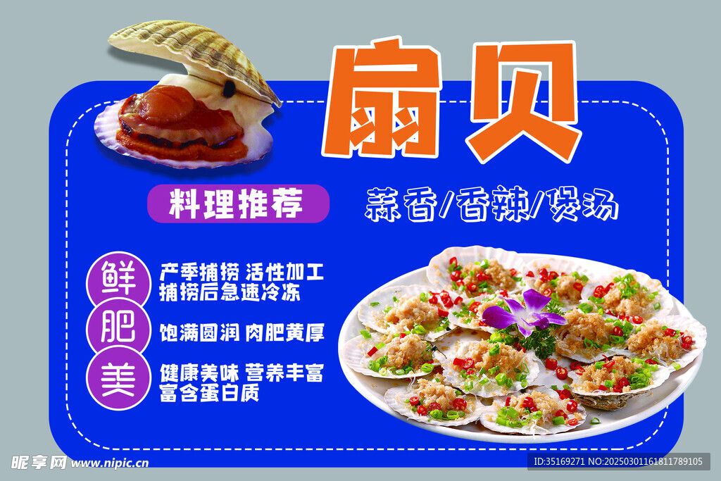 扇贝