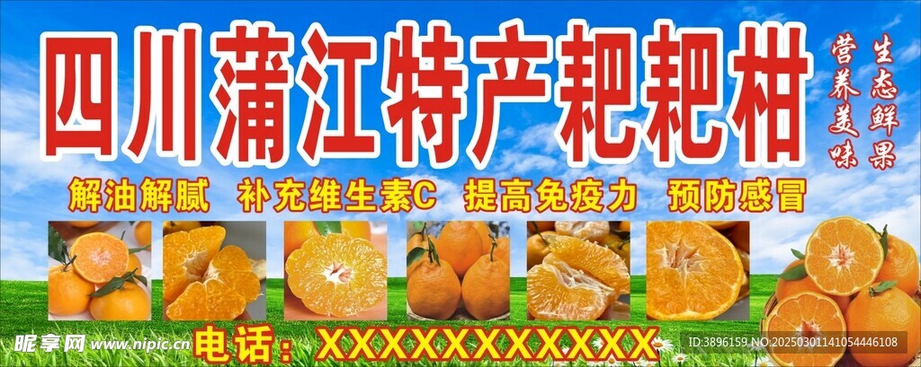 耙耙柑广告招牌海报