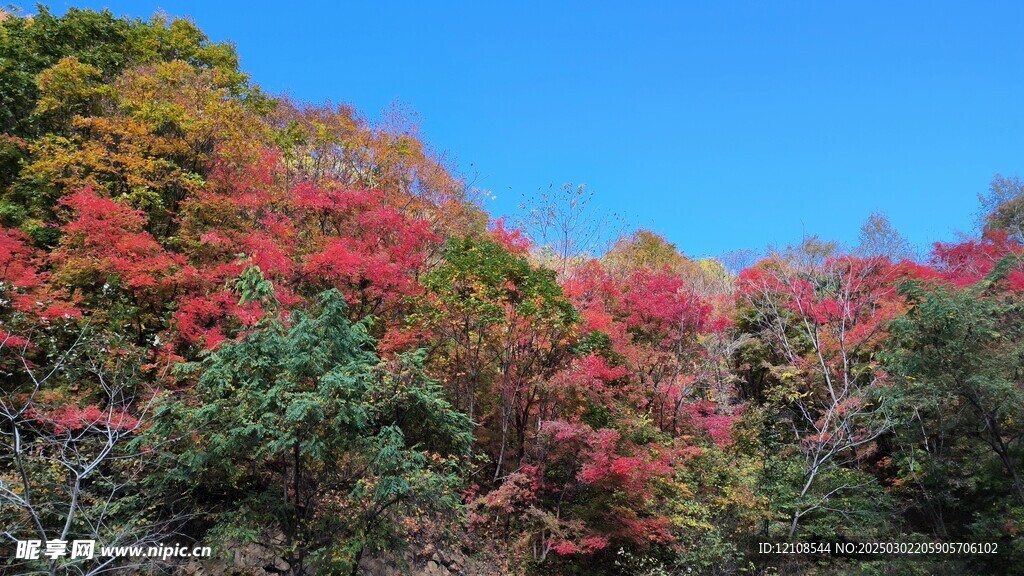 高山