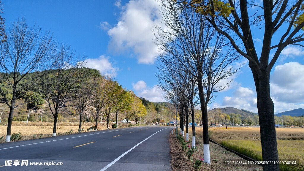 幽静的公路