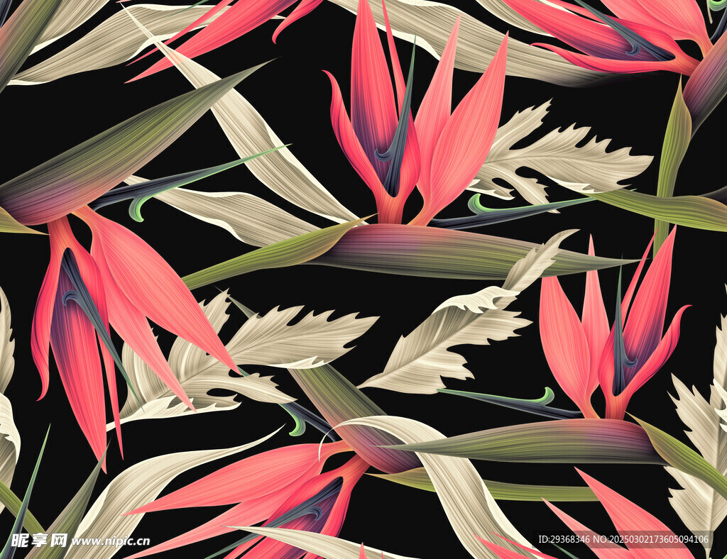 热带花