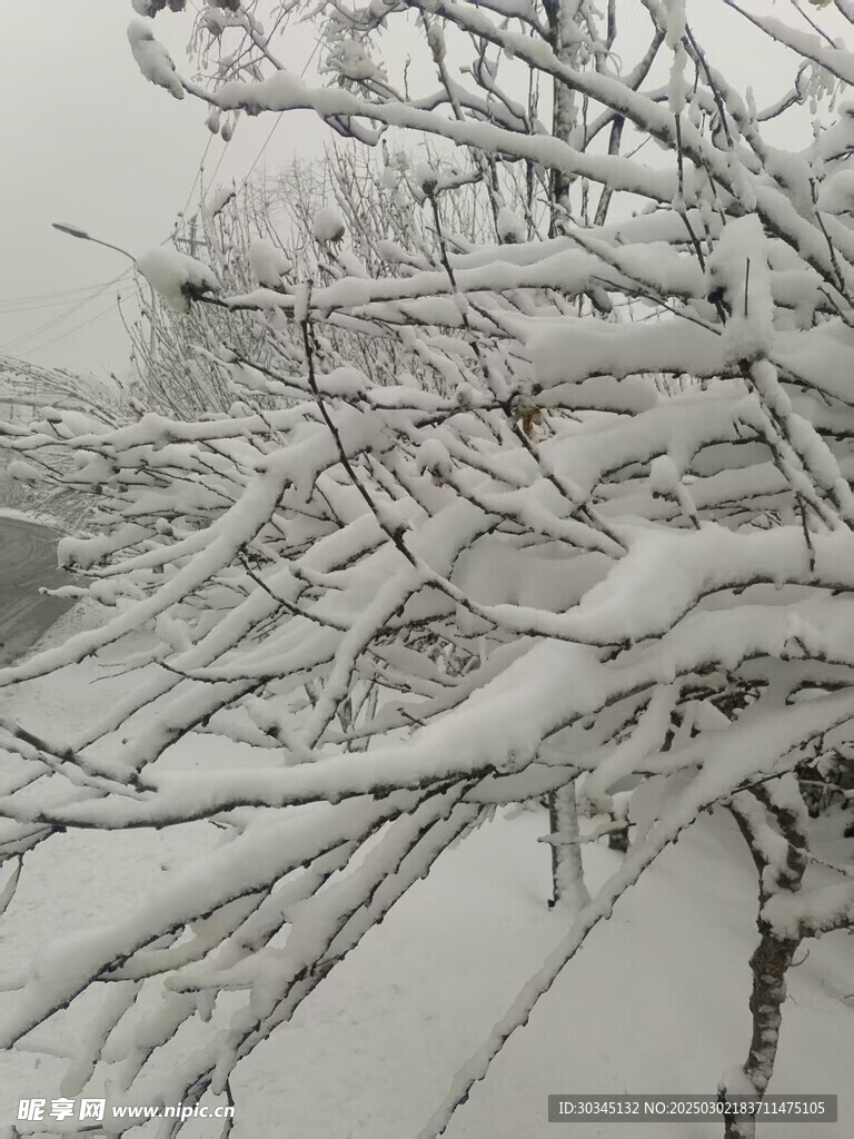 雪景