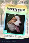 宠物美容