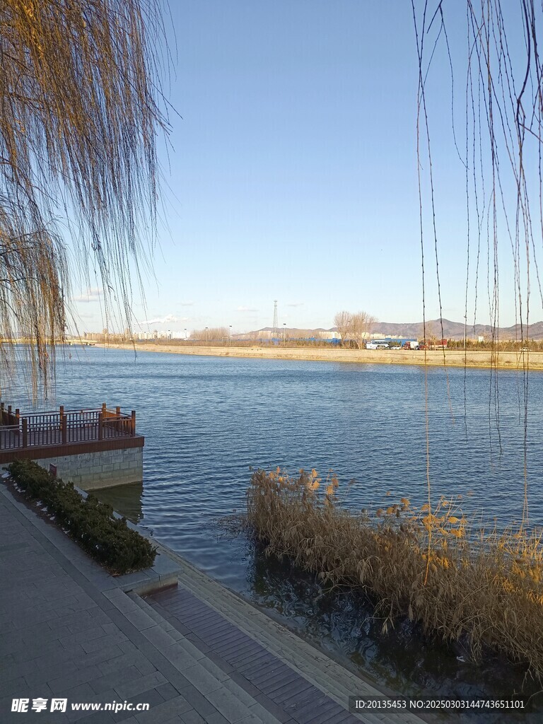 河边风景