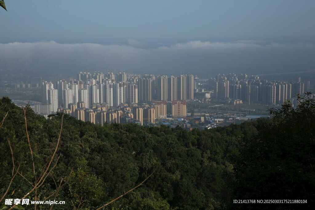 城市建筑全景
