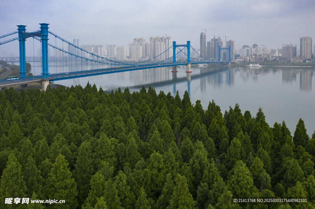 城市建筑全景