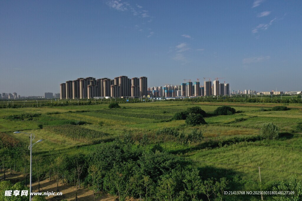 城市建筑全景