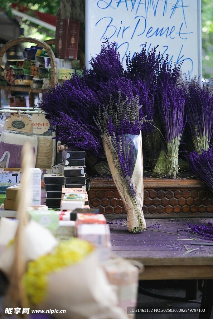 薰衣草