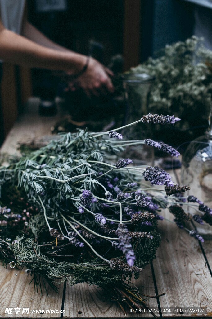 薰衣草