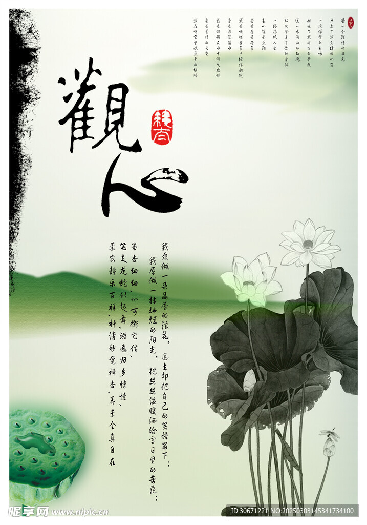 荷花荷叶海报