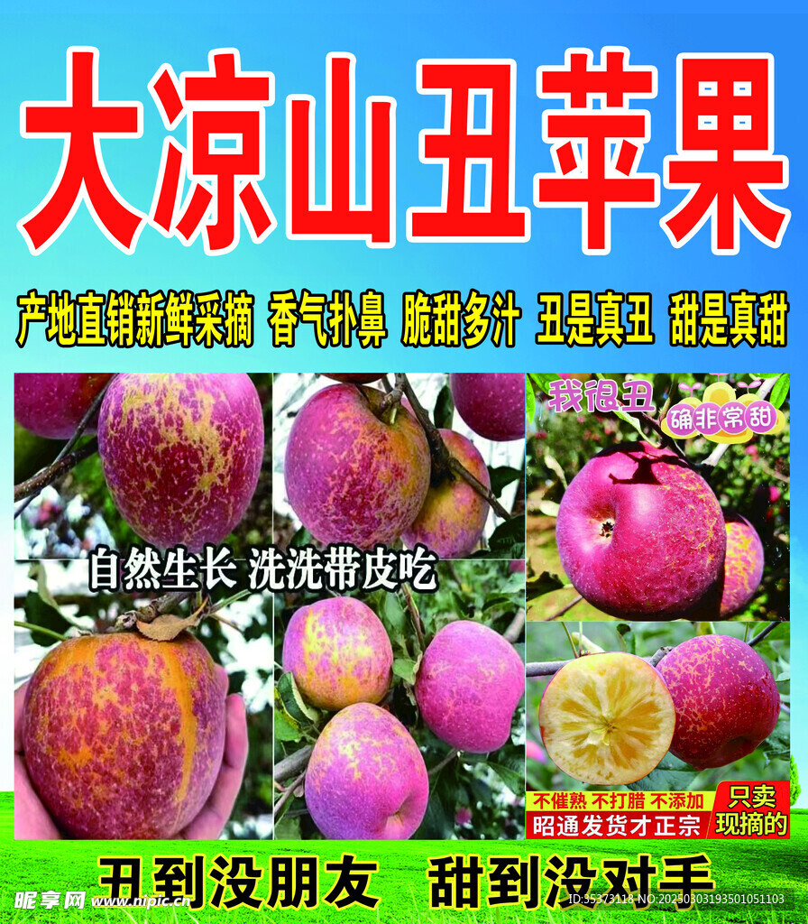 大凉山丑苹果