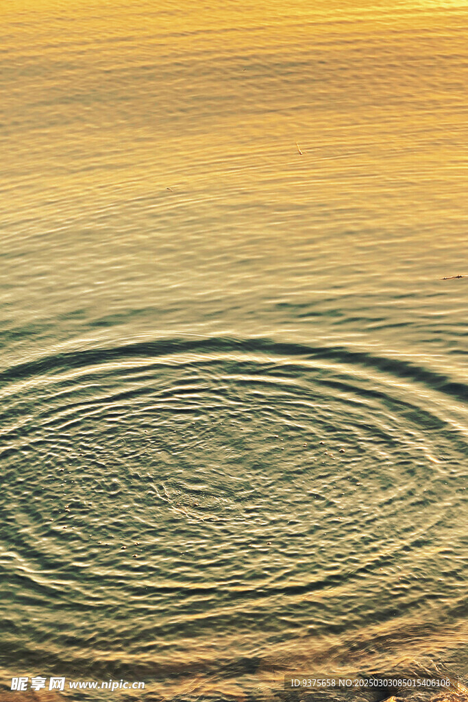 水波纹