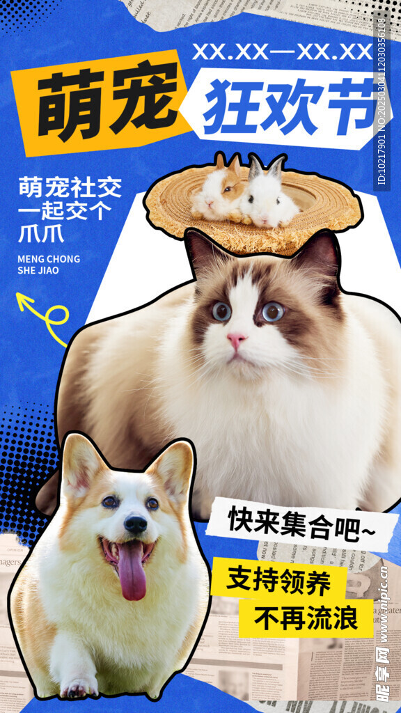 萌宠宠物主题海报
