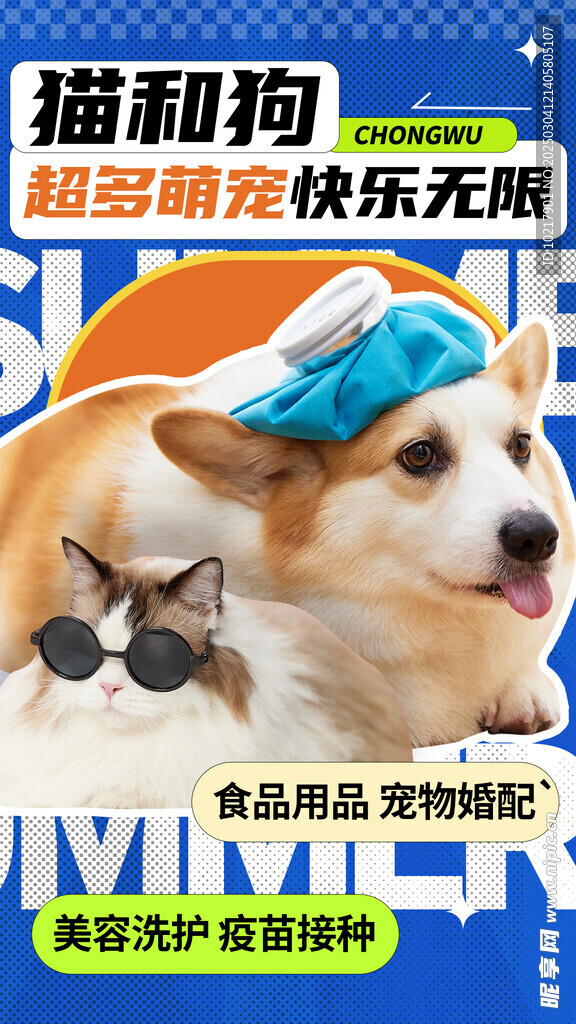 萌宠宠物主题海报