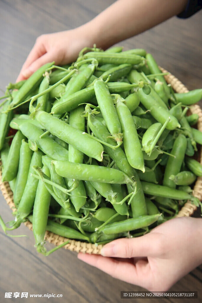 豌豆