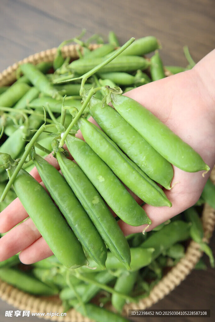 豌豆